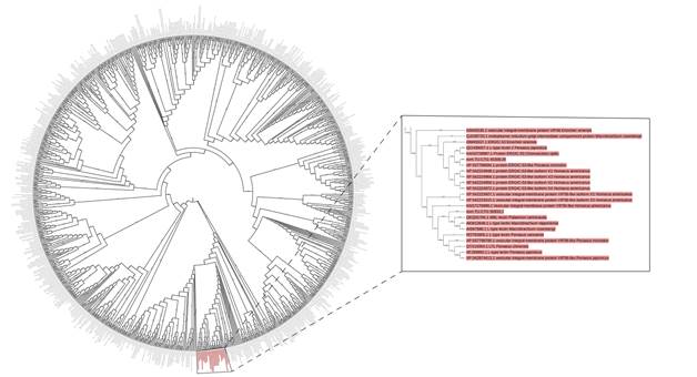 Figure2