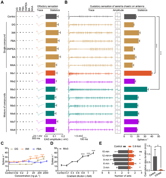 图形用户界面 AI 生成的内容可能不正确。